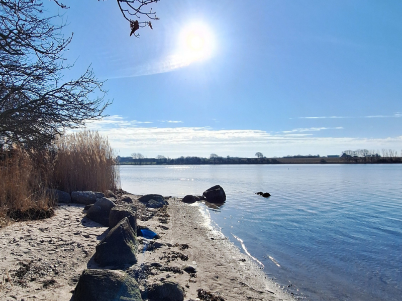 Billede fra vandkanten i Augustenborg