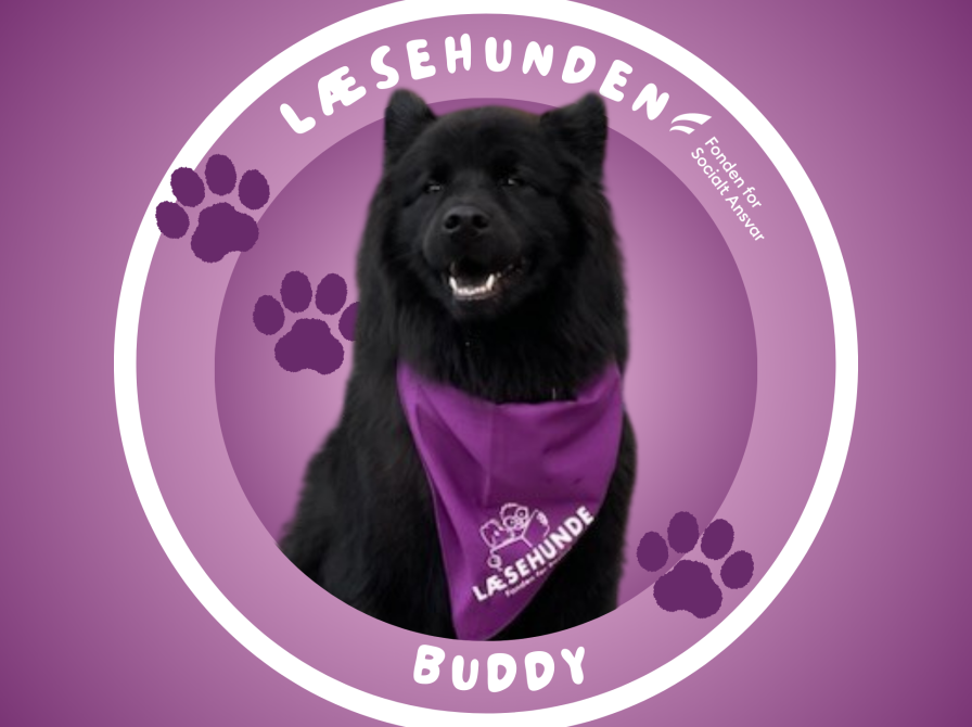 Buddy klistmermærke